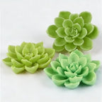 Cactus Silicone Molds Cacti Hawaiian Fondant Mold for Making Sugar Chocolate Candy Gum Paste Cupcake Cake Decoration Supplies