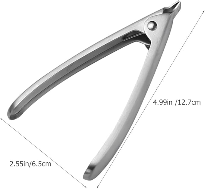 Hemoton Stainless Steel Clam Opener 5 Inch Seafood Tool with Ergonomic Handle for Easy Shellfish and Oyster Opening Kitchen Gadget