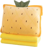 Fruit Throw Blanket and Pillow Set, Travel Blanket Compact Convenient Bed Throw Pillows with Airplane and Car Suitable for Office Nap Time (G, 39in x 31in)