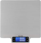 Taylor 22lb Ultra-Precise Digital Stainless Steel Household Kitchen Scale, One, Silver