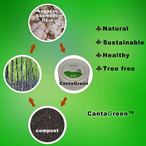 9 inch Compostable Plates, 100 Count Heavyduty Sugarcane/Bagasse and Bamboo Fibre Biodegradable Disposable Paper Plate