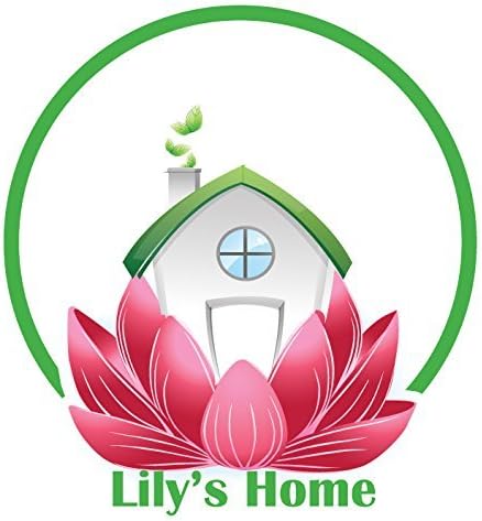 Lily's Home - 9.5 Inch x 12.5 Inch - Retro Kitchen Wall Clock, Vintage Wall Clock with a Thermometer and 60-Minute Timer, Ideal for Any Kitchen, Office, or Diner (Red)