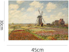Art-Inspired Washable PVC Placemats Set of 6, Heat-Resistant Non-Slip Table Mats for Kitchen Dining Table Decor (Tulip Fields in Holland)