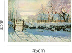 Art-Inspired Washable PVC Placemats Set of 6, Heat-Resistant Non-Slip Table Mats for Kitchen Dining Table Decor (The Magpie)