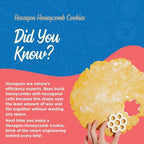 BāKIT Box Hexagon Honeycomb Sugar Cookie Decorating Kit – STEM Baking Gift for Kids Ages 5–12, Homeschool Geometry & Bee Habitat Activities, Educational Cookie Kit for Boys & Girls