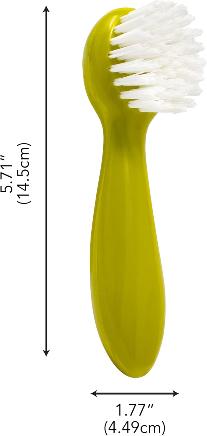Joie Potato Scrub Brush, Ergonomic Easy Grip Handle, Ideal for Cleaning Vegetables and Fruits, Small and Compact, Handy Kitchen Gadget, BPA-Free, Dishwasher Safe, Green
