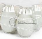50 Pack Large Plastic Egg Cartons - 1 Dozen Clear Duck Egg Tray - Reusable Egg Storage Holder for Refrigerator, Family Pasture, Duck Farm, Market Display