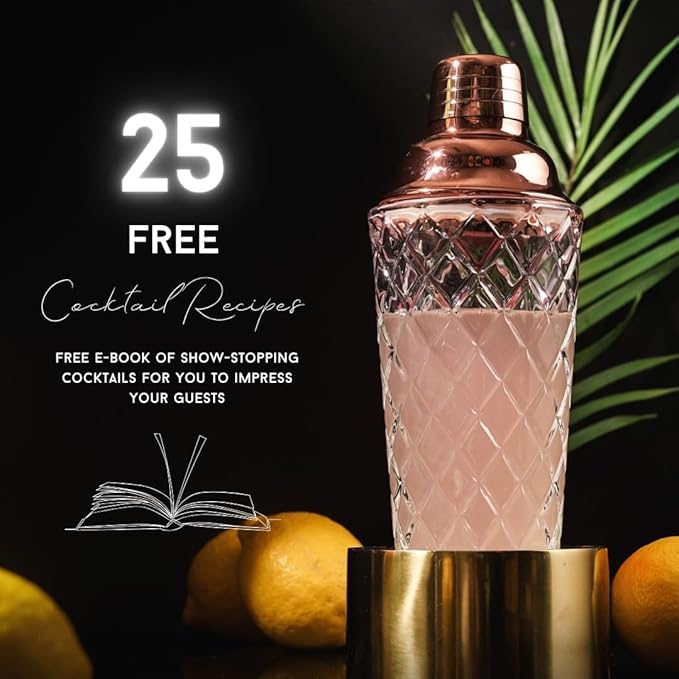 Nikita Cocktail Shaker, 5-Piece Martini Shaker & Bartender Kit with Bar Accessories Strainer, Jigger, Spoon & Muddler, Rose Gold 16oz Drink Mixer with Bartender Accessories