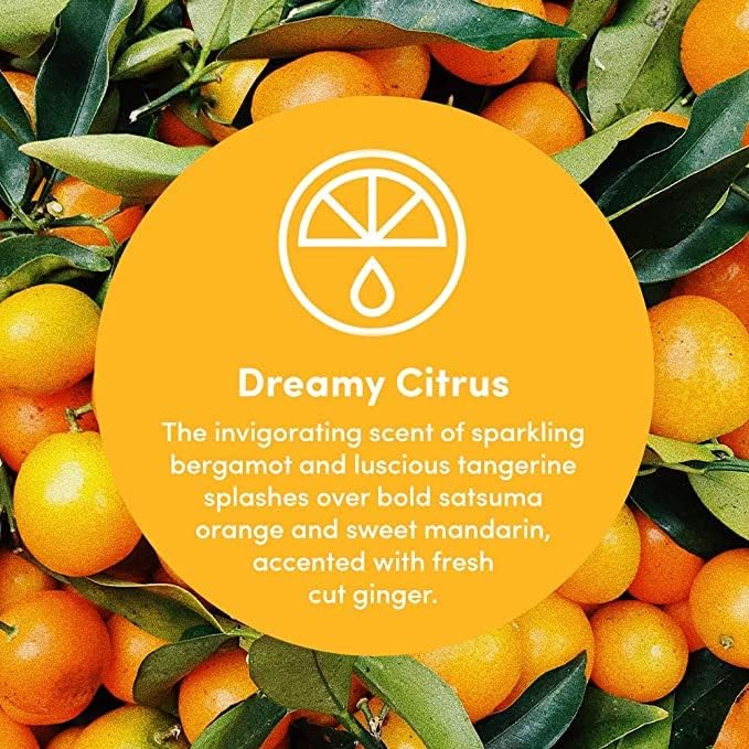 Clean Revolution Multi Surface Cleaner Refill Supply, Non-Toxic, Eco-Friendly & Plant-Based, Ready to Use, Dreamy Citrus, 128 Fl Oz (Pack of 4)
