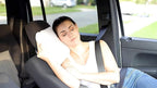 ProComf Travel and Camping Mate/Baby/Kid's/Teen's/Adult's Memory Foam Pillow (Snow White with 4-Holidays Covers)
