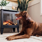 Fuzion Freestanding Electric Stove (FUZION-EX)