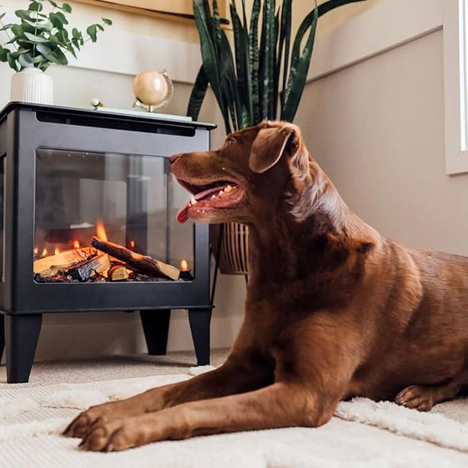 Fuzion Freestanding Electric Stove (FUZION-EX)