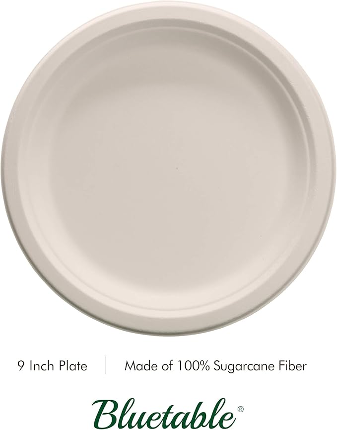 Compostable Paper Plates 9 Inch Bulk Plates [500 Case Pack] - Biodegradable Made from 100% Sugarcane - Heavy Duty Disposable - Eco Friendly - Bagasse Dinner Plates Natural Recycled Plate [500 Case]
