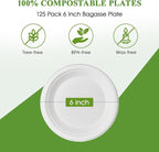 Vplus 125 Pack 6 inch Paper Plates 100% Compostable, Heavy-Duty Disposable Paper Plates Bagasse Natural Biodegradable Eco-Friendly Sugarcane（White）