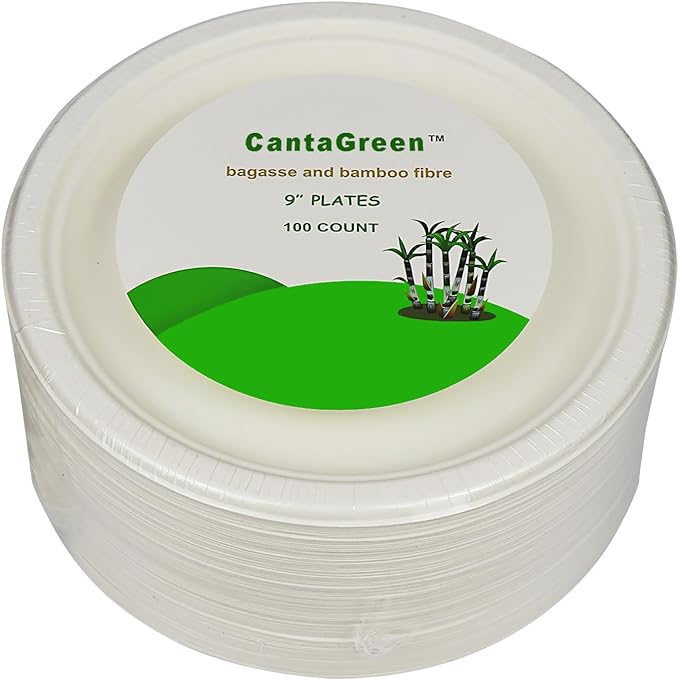 9 inch Compostable Plates, 100 Count Heavyduty Sugarcane/Bagasse and Bamboo Fibre Biodegradable Disposable Paper Plate