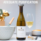 Wine Wand Filter Sulfite Purifier: Wine Filters Remover Histamines Sulfite - Alleviates Headaches Prevent Wine Sensitivities With Contains 4 Filter Boxes (Silver)
