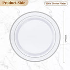 BESTVIP 100PCS Silver Plastic Plates, 10.25 Inch Disposable Dinner Plate Party with Silver Rim for Christmas, Thanksgiving, Heavy Duty Disposable Plastic Plates for Party, Wedding and Birthday, Events