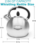 Tea Kettle, 2.64 Qt Tea Pot Stovetop, Premium 304 Food-Grade Tea Kettle Stovetop, Resounding Sound, Vintage Aesthetics, with Pot Holder (Brushed)