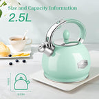 RETTBERG Tea Kettles Stovetop, 2.64 Quart Induction Whistling Tea Kettles Food Grade Stainless Steel Teapots with Cool Touch Handle Mint Green