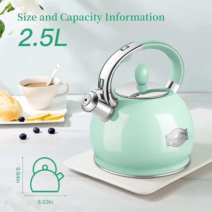 RETTBERG Tea Kettles Stovetop, 2.64 Quart Induction Whistling Tea Kettles Food Grade Stainless Steel Teapots with Cool Touch Handle Mint Green