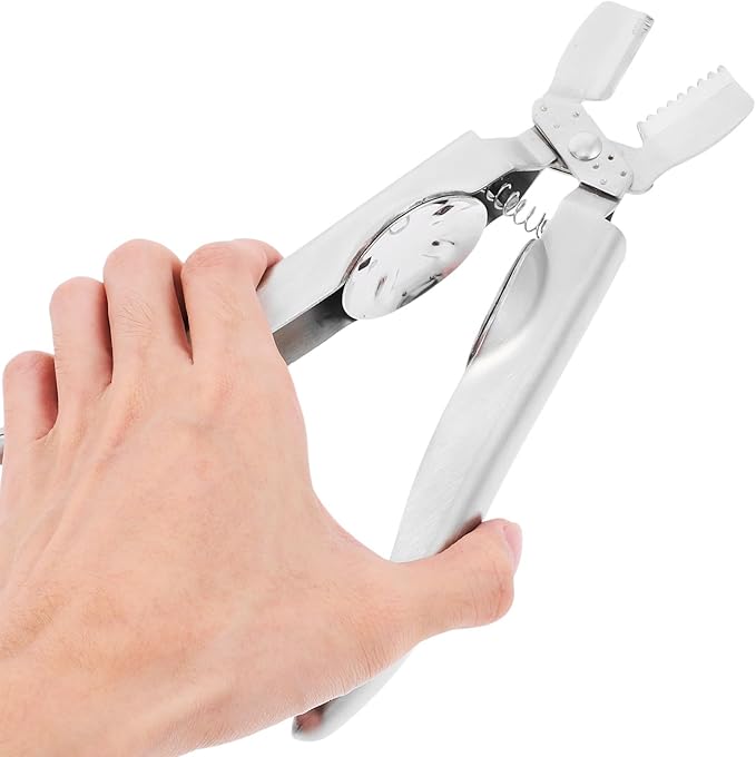 Chestnut Opener and Nut Cracker Tool 304 Stainless Steel Cross-shaped Chestnut Sheller Peeler for Walnuts Hazelnuts and Seafood Kitchen Specialty Gadget