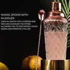 Nikita Cocktail Shaker, 5-Piece Martini Shaker & Bartender Kit with Bar Accessories Strainer, Jigger, Spoon & Muddler, Rose Gold 16oz Drink Mixer with Bartender Accessories