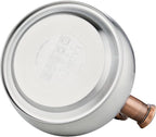 Tea Kettle Stovetop Whistling Kettle Teapot, 3Quart Tea Pot Stainless Steel Teakettle for Stove Top with Heat Proof Ergonomic Handle