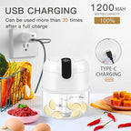 EASYSPEED Electric Garlic Chopper 1Cup, Mini USB Charging Wireless Food Processor with 304 Stainless Steel, 3 Sharp Blades, Portable Kitchen Meat Grinder for Onion, Garlic, Ginger, Chili
