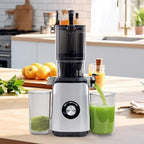 NEWBULIG Cold Press Juicer Machines, Masticating Juicer with High Juice Yield, Reverse Function, Stops Oxidation and Easy to Clean for Vegetables & Fruits, Silver