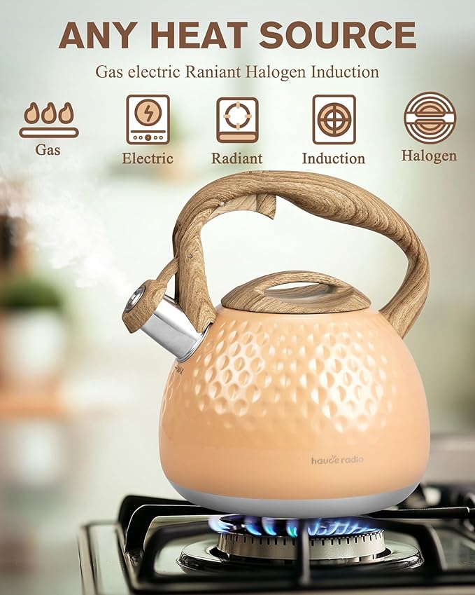 Tea Kettle,2.5 Quart Stovetop Tea Kettles Loud Whistle,Food Grade Stainless Steel Water kettles for Stove Top with Anti-hot Ergonomic Handle,Suitable for All Heat Sources