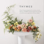 Thymes Countertop Spray - Counter Cleaner Spray - Household Cleaning Supplies (Fresh-Cut Basil, 16.5 fl oz)