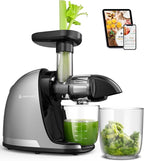 AMZCHEF Cold Press Masticating Juicer Machine - 90% Yield Reverse System, Quiet Motor for Home & Breakfast, 3-Step Clean with Brush, Includes 50+ Juice Recipes, Silver Grey
