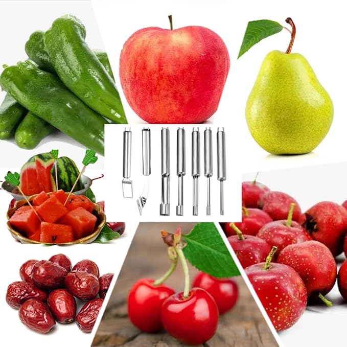 Fruit and Vegetable Corer Tool, Multi-Function Stainless Corer and Pitter Remover Set for Apple, Chili Kernel Remover Fruit Slicer for Kitchen