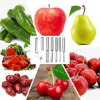 Fruit and Vegetable Corer Tool, Multi-Function Stainless Corer and Pitter Remover Set for Apple, Chili Kernel Remover Fruit Slicer for Kitchen