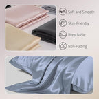 Mulberry Silk Pillow Case for Hair and Skin Prevent Acne Pillowcases Both Sides Real Silk Pillowcases Organic Silk Pillowcase with Hidden Zipper, Dusty Blue, Queen (20"×30")