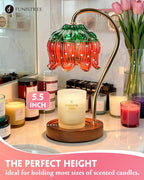 Strawberry Candle Warmer Lamp, Cute Candle Lamp with Timer & Dimmable, Birthday Christmas Gifts for Women Mom, House Warming Gift New Home, Lotus Wax Melt Warmer for Yankee Village Candles
