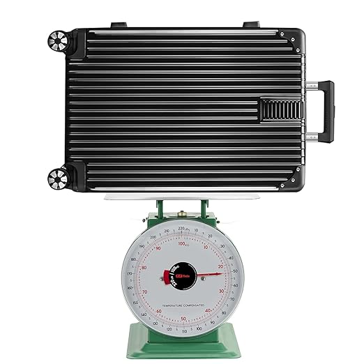 Tada 220lbs Heavy Duty Mechanical Kitchen and Food Scale Industrial Scale with Stainless Steel Platform Analog Produce Scale for Farmers Market and Horse Hay