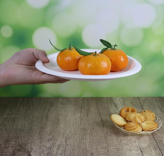9 inch Compostable Plates, 100 Count Heavyduty Sugarcane/Bagasse and Bamboo Fibre Biodegradable Disposable Paper Plate