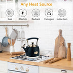 Tea Kettle Stainless Steel Teapot, Stainless Steel Teakettle for Stove Top with Heat Proof Ergonomic Handle 3.0 Quart