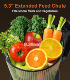 Juicer Machines, 5.3" Large Feed Chute Cold Press Juicer with Double Press Technology, 400W Motor, High Juice Yield, Easy to Clean, Masticating Juicer for Whole Vegetables & Fruits, Black