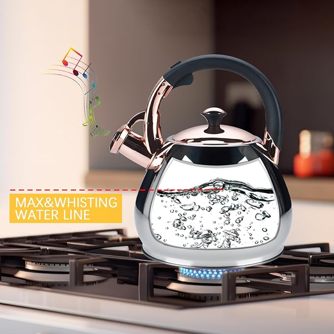 Tea Kettle Stovetop Whistling Kettle Teapot, 3Quart Tea Pot Stainless Steel Teakettle for Stove Top with Heat Proof Ergonomic Handle