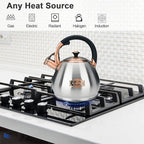 Tea Kettle Stovetop Whistling Kettle Teapot, 3Quart Tea Pot Stainless Steel Teakettle for Stove Top with Heat Proof Ergonomic Handle