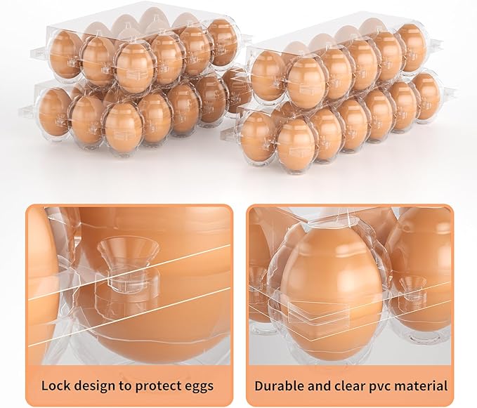 EVANCENT Egg Cartons Cheap Bulk 48 Pack, 1 Dozen Plastic Egg Carton for Refrigerator, Reusable Egg Container holders for Storing, Sharing, Selling, Clear Tray for Home Ranch Farm Market-2x6 Grids