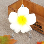 LIONWEI LIONWELI 4 Inch Silver Iron Plate Stand Holder Easel Display Stand for Plate?Picture?Photo and More,4 pcs.
