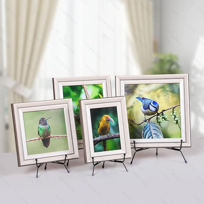 10 Pack Upgraded Plate Display Stands, 4 6 8 Inch Anti-Slip Iron Plate Holder, Compatible 3 to 12 Inch Decorative Plates, Photo Holder Stands, Book Display Stands and Artworks