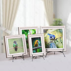 10 Pack Upgraded Plate Display Stands, 4 6 8 Inch Anti-Slip Iron Plate Holder, Compatible 3 to 12 Inch Decorative Plates, Photo Holder Stands, Book Display Stands and Artworks