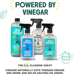 Aunt Fannie's All Purpose Household Cleaner, Multi-surface Spray, Powered by Vinegar for Kitchen, Bath, Windows and Countertops, Eucalyptus Scent (Pack of 6)