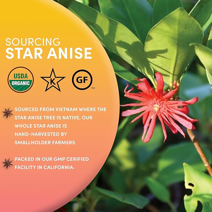 Worldwide Botanicals Organic Star Anise Root – 6 oz – 100% Illicium verum – Whole, Fragrant, Anise & Licorice-like Flavor for Tea, Culinary Recipes, Potpourri, Perfumes, Liquors – 6 ounces