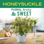 MRS. MEYER'S CLEAN DAY Liquid Dish Soap, Biodegradable Formula, Honeysuckle, 16 fl. oz - Pack of 3