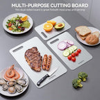 Titanium Cutting Boards,100% Pure Titanium Kitchen Cutting Board, Double-Sided Non-Toxic Cutting Board, Ideal for Slicing and Dicing Meats, Features Handle, Dishwasher Safe,16"L*10"W
